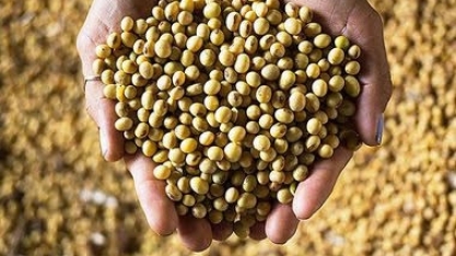 Agronegócio colhe os frutos da adoção de métodos de produção sustentáveis