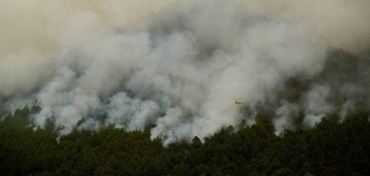 Piroceno: Como a era dos megaincêndios está remodelando o mundo