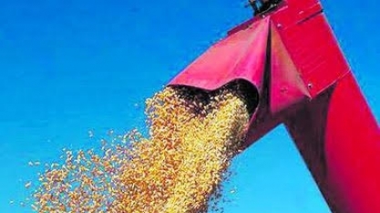 Demanda atrai investimentos em novas usinas de etanol de cana e de milho