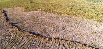 Desmatamento é recorde em setembro no cerrado,enquanto cai 57% na Amazônia