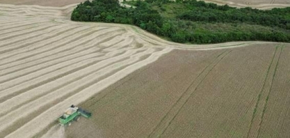 Mesmo em ano de queda de preços, valor da produção agrícola sobe