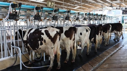 Leite: OCB cobra decreto com alteração de medida tributária para o setor