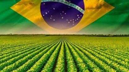FMI/Estimativa: Agro coloca o Brasil como 9ª economia mundial