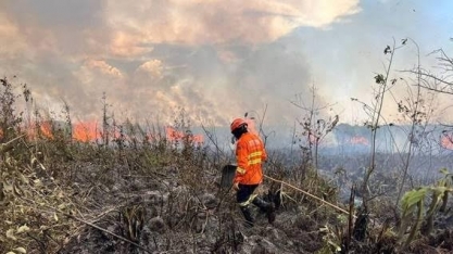 Queimadas no pantanal voltam a preocupar brigadistas em Mato Grosso do Sul