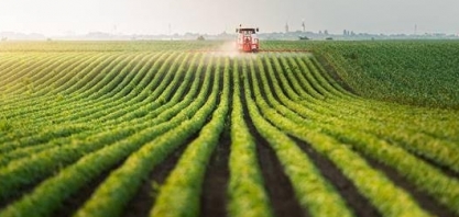Preços externos caem, mas volume garante saldo ao agronegócio
