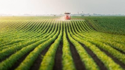 Preços externos caem, mas volume garante saldo ao agronegócio