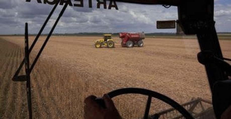 Argentina: Comércio agrícola com o Brasil pode ficar ainda mais competitivo