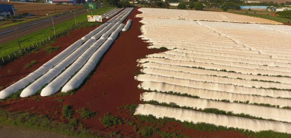 Supersafra derruba preços e lota armazéns com soja e milho