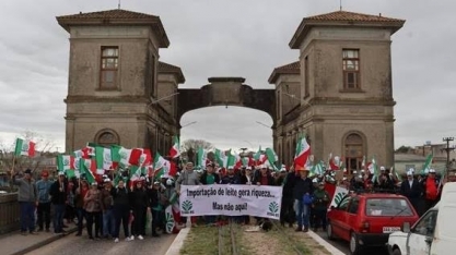 Produtores de leite reclamam de importação e temem abandono maior no setor