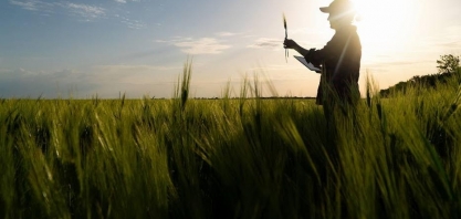 Após 19 semanas em queda, alimentos voltam a subir em SP