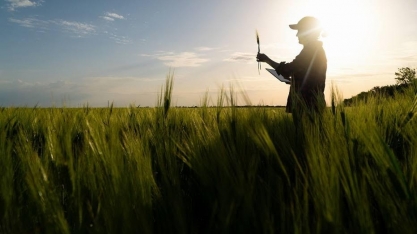 Após 19 semanas em queda, alimentos voltam a subir em SP