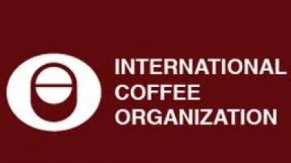 Café: Exportação mundial em agosto aumenta 2%, para 10,30 mi de sacas