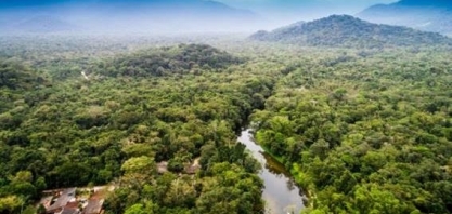 Elon Musk: Internet por satélite na Amazônia com antenas em 90% das cidades