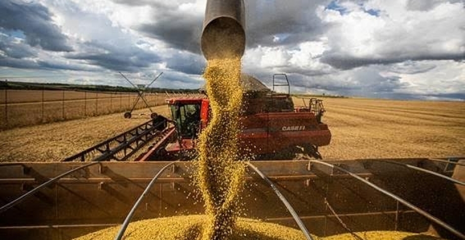 África aumenta participação nas exportações do agronegócio