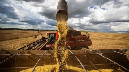 África aumenta participação nas exportações do agronegócio