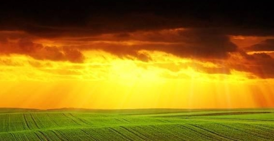 Investidor estrangeiro quer Brasil mais ambicioso na agenda verde