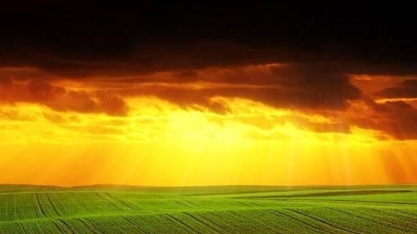 Investidor estrangeiro quer Brasil mais ambicioso na agenda verde