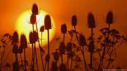 Mundo está cada vez mais longe de respeitar Acordo de Paris