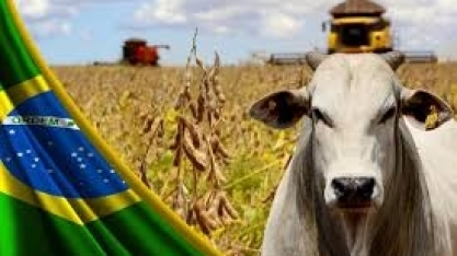Mapa mantém previsão do VBP em R$ 1,15 tri este ano e queda de 5% em 2024