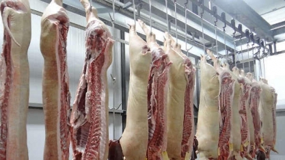 República Dominicana habilita 36 plantas brasileiras de carne suína 