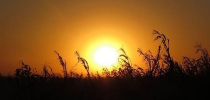 El Niño deve atingir pico em dezembro; quais são os impactos fora o calor?