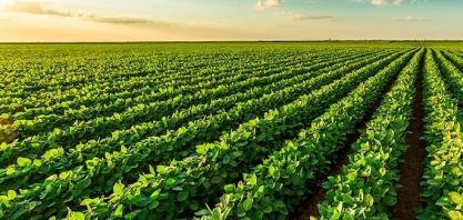 Soja: Análise Conjuntural Agromensal Outubro/23 Cepea/Esalq USP