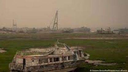 Desmatamento na Amazônia cai; queimadas no Amazonas aumentam