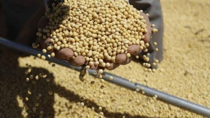 Exportação do agro atinge em outubro US$ 13,38 bi, -2,3% ante out/22