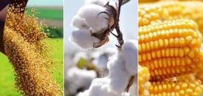 Previsões de China, EUA e UE aumentam desafios para agro brasileiro