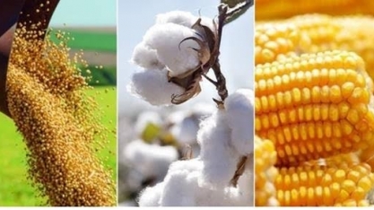 Previsões de China, EUA e UE aumentam desafios para agro brasileiro