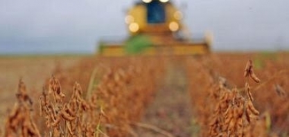  Quais são os maiores Estados brasileiros pelo tamanho da economia? Veja ranking