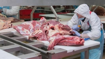 China pode habilitar nova leva de frigoríficos após visita nesta semana