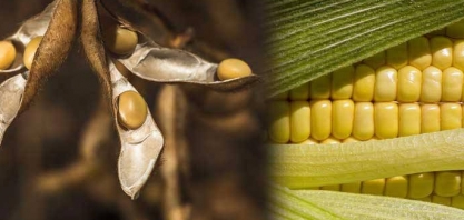 Empresários do agronegócio dos EUA visitam China em busca de negócios