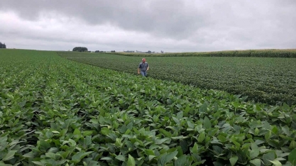 Queda de margens será maior preocupação para produtor em 2024 