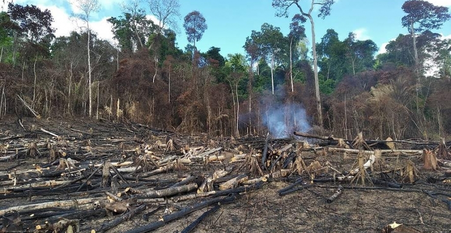 Desmatamento na Amazônia piora em até 4°C o calor na região, mostra estudo