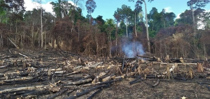Desmatamento na Amazônia piora em até 4°C o calor na região, mostra estudo