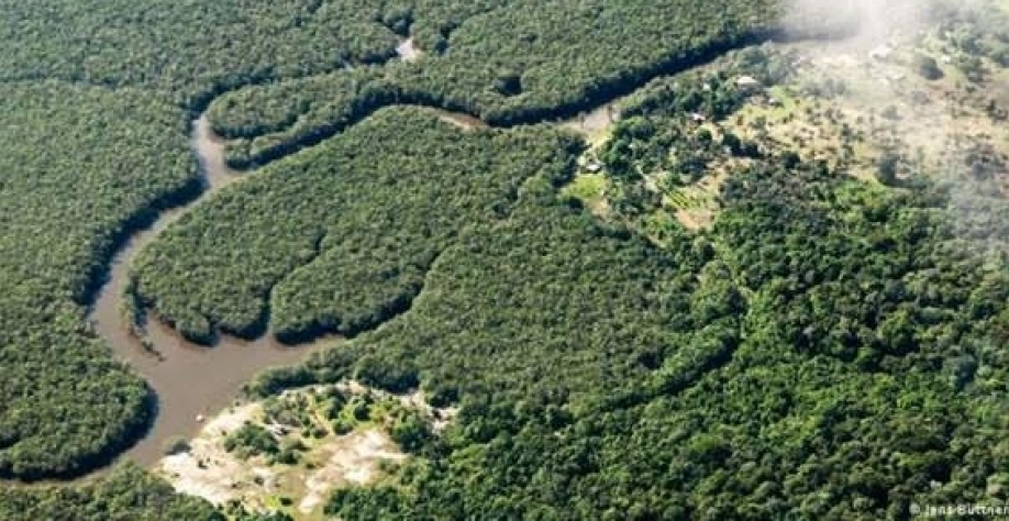 Fundo Amazônia: inspiração global para proteção climática?