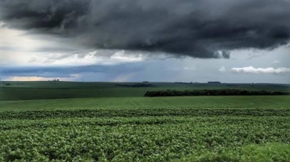 PR: Chuva traz risco de perda no trigo; soja e milho serão replantados
