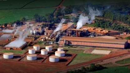 Jalles Machado: Produtividade salta no 2T24, apesar de queda na receita