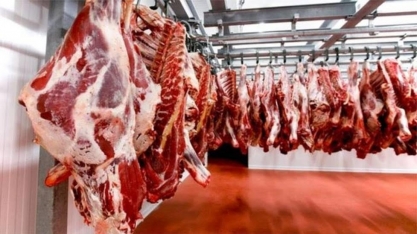 95% dos frigoríficos na Amazônia não controlam origem da carne