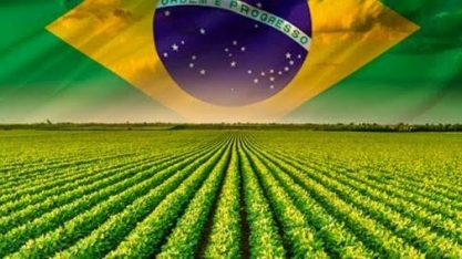 Agronegócio brasileiro pode ir sem medo para a Cop28