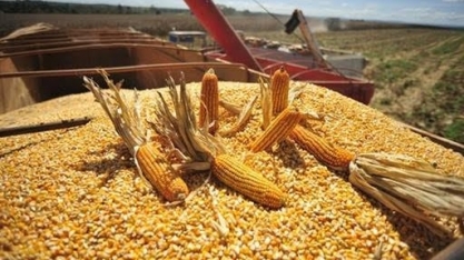 Projeto de primeira usina de etanol de milho em TO começa a sair do papel