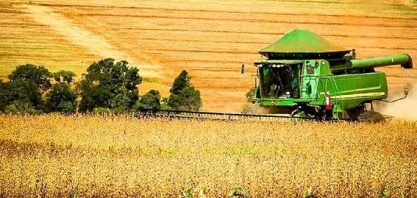 Preços sobem em outubro e mercado mundial fica de olho no Brasil