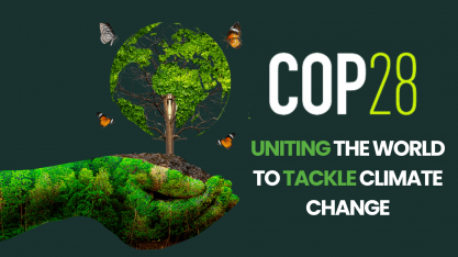 COP28: Brasil leva proposta de fundo mundial para conservação de florestas