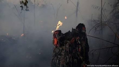 Após recorde, emissões brasileiras caem 8% em 2022