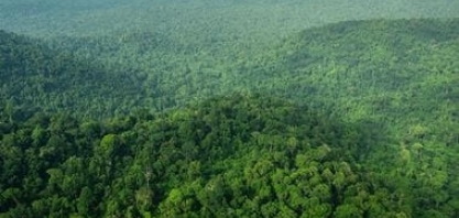 Setores da transição verde podem girar R$ 293 bi em 2030, estima Santander