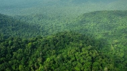 Setores da transição verde podem girar R$ 293 bi em 2030, estima Santander