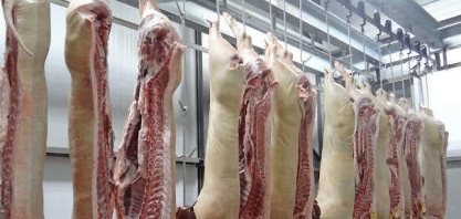Carne suína: Exportação em 2024 deve crescer 3,9% ante 2023