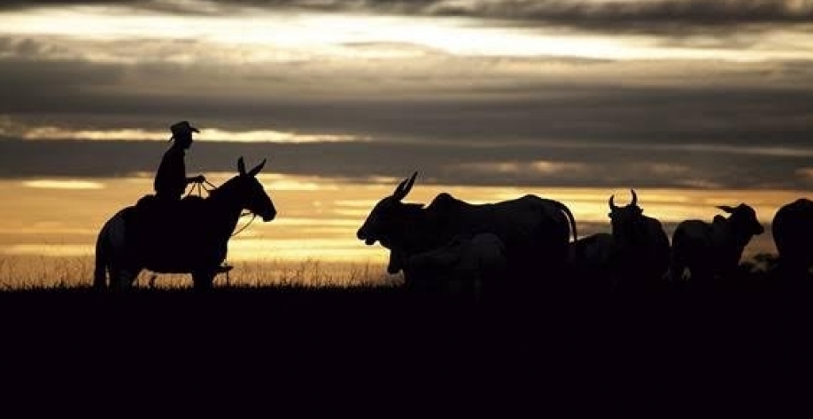 Após um 2022 gordo, produtor vai fechar 2023 com preço bem menor