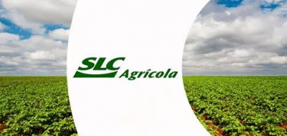 SLC desiste de plantar 16 mil/ha com soja e troca área por algodão